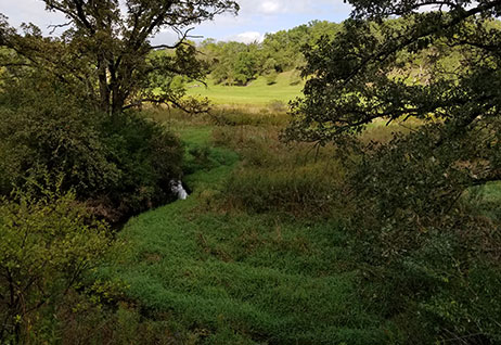 Hope Valley Concervancy Land Restoration