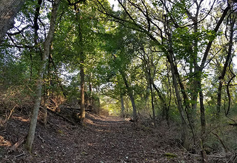 Hope Valley Concervancy Land Restoration 
